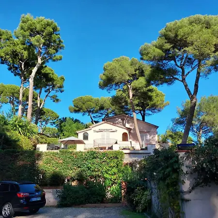 Cap D'antibes, Swimming Pool, Sea, Terrasse アンティーブ